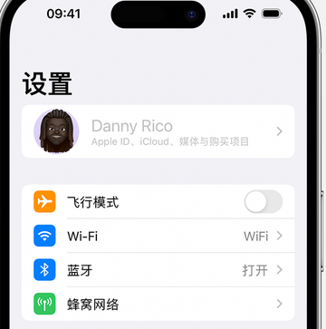 老新镇appleID维修服务iPhone设置中Apple ID显示为灰色无法使用 