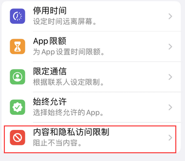 老新镇appleID维修服务iPhone设置中Apple ID显示为灰色无法使用