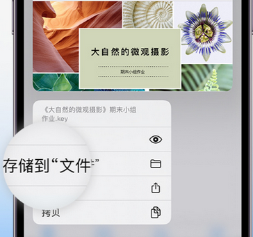 老新镇apple维修中心分享iPhone文件应用中存储和找到下载文件