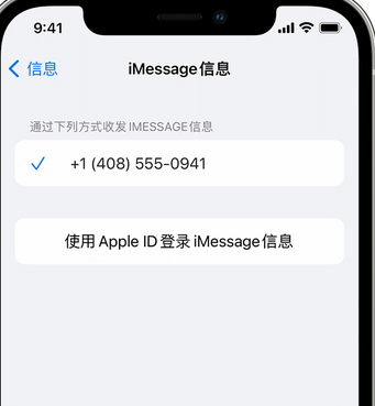 老新镇apple维修iPhone上无法正常发送iMessage信息