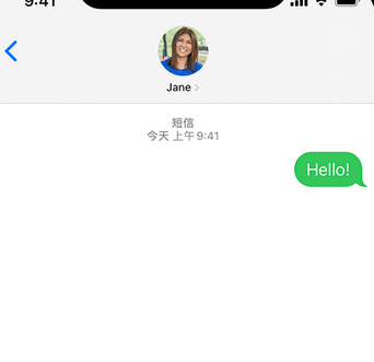 老新镇apple维修iPhone上无法正常发送iMessage信息