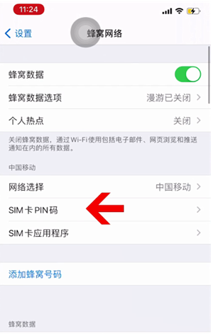 老新镇苹果14维修网分享如何给iPhone14的SIM卡设置密码 