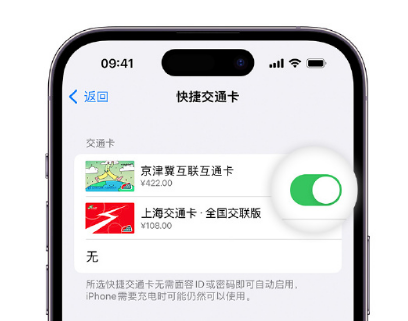 老新镇apple维修点分享iPhone上更换Apple Pay快捷交通卡手绘卡面 