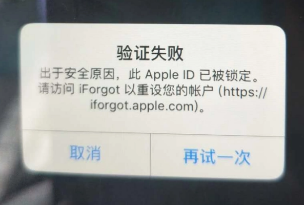 老新镇iPhone维修分享iPhone上正常登录或使用AppleID怎么办 