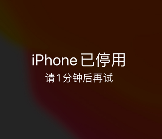 老新镇苹果手机维修分享:iPhone 显示“不可用”或“已停用”怎么办？还能保留数据吗？ 