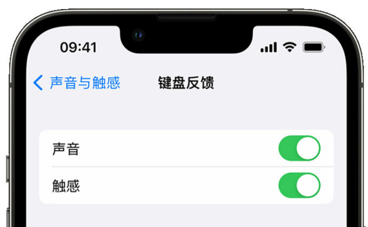 老新镇苹果手机维修分享iPhone 14触感键盘使用方法 