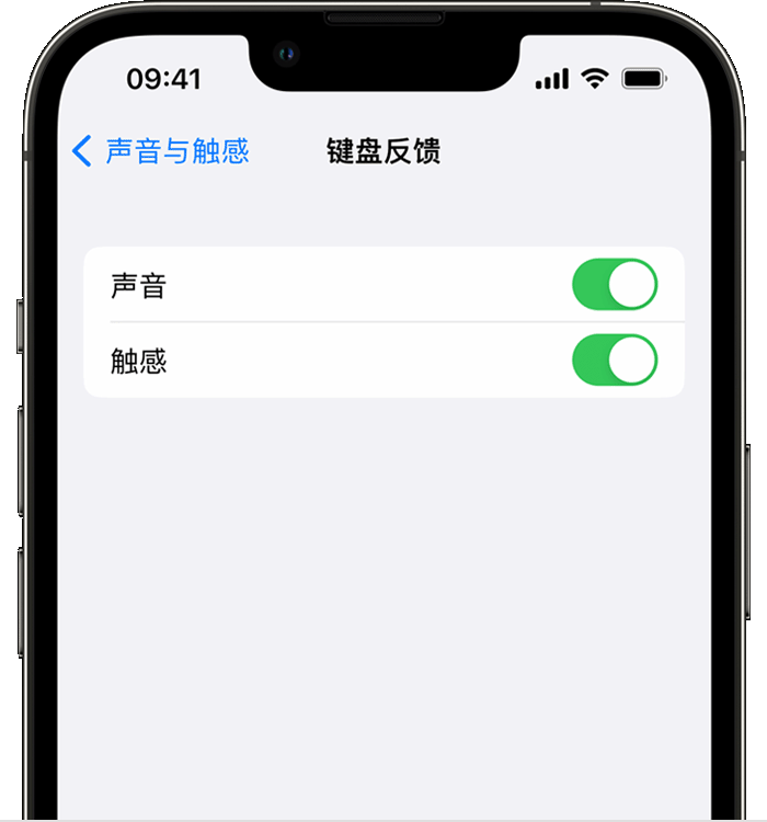 老新镇苹果14维修店分享如何在 iPhone 14 机型中使用触感键盘 