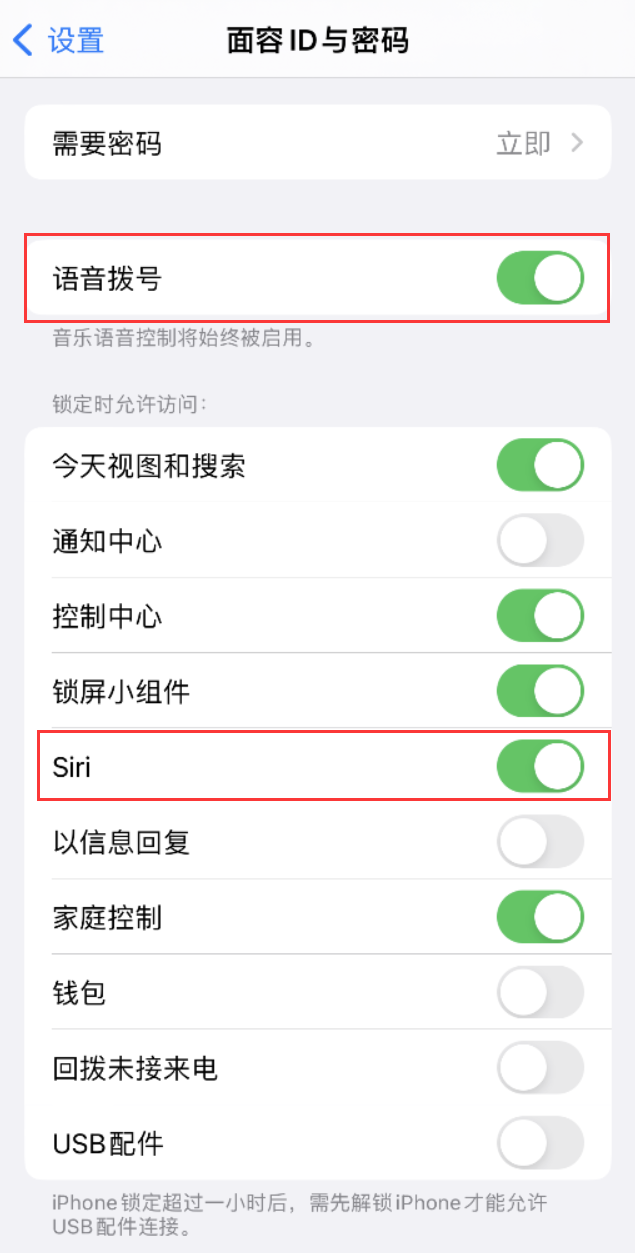 老新镇苹果维修网点分享不解锁 iPhone 的情况下通过 Siri 拨打电话的方法 