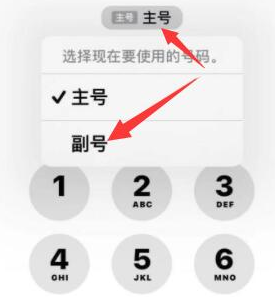 老新镇苹果14维修店分享iPhone 14 Pro Max使用副卡打电话的方法 