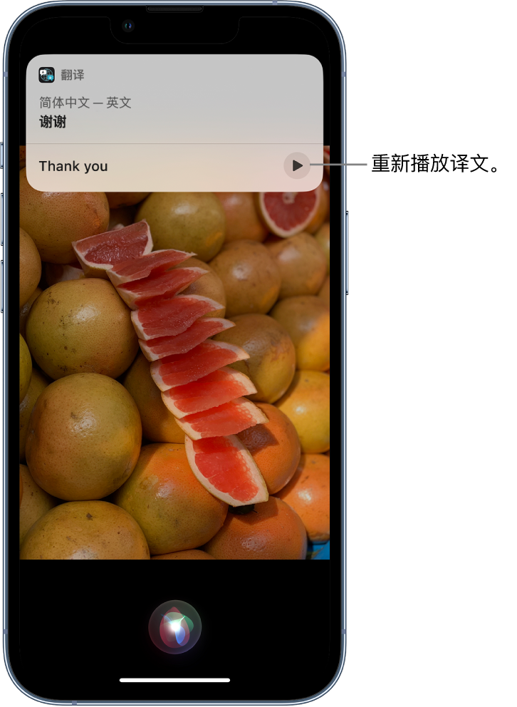 老新镇苹果14维修分享 iPhone 14 机型中使用 Siri：了解 Siri 能帮你做什么 