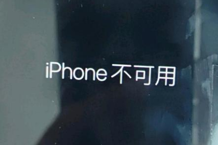 老新镇苹果服务网点分享锁屏界面显示“iPhone 不可用”如何解决 