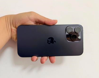 老新镇苹果维修点分享iPhone 14 Pro Max发烫多重诱因剖析 